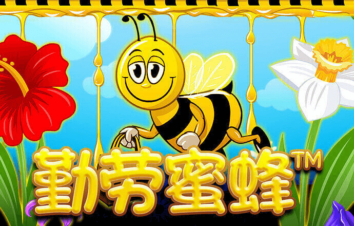 斗球体育app手机版